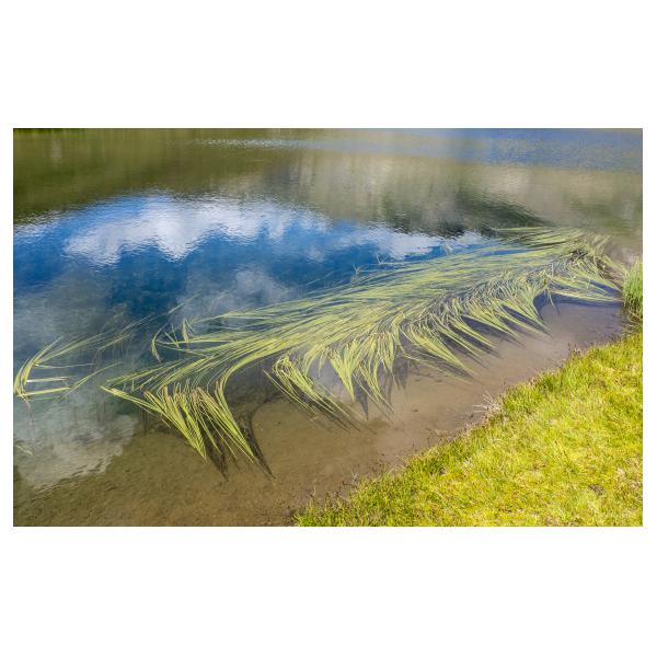 PHOTO84, CLUB, 84 , LUBERON